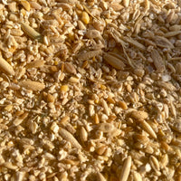 Close-up of a mixture of organic seeds and grains for livestock feed