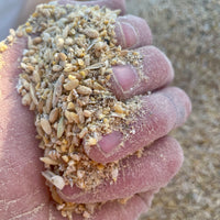 Hand holding a small amount of organic feed