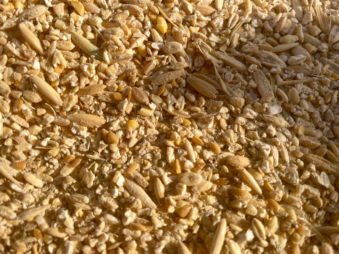 Close-up of Far Out Feeds&